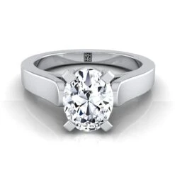 Platinum OvalCathedral Style Solitaire Engagement Ring